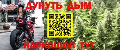 PSILOCYBIN Кулебаки