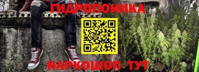 PSILOCYBIN Кулебаки