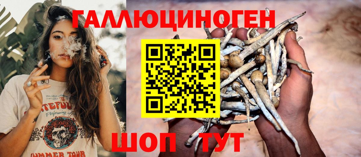 Десногорск  Псилоцибиновые грибы ЛСД  Галлюциногенные грибы мухоморы  где купить   Вход с VPN 