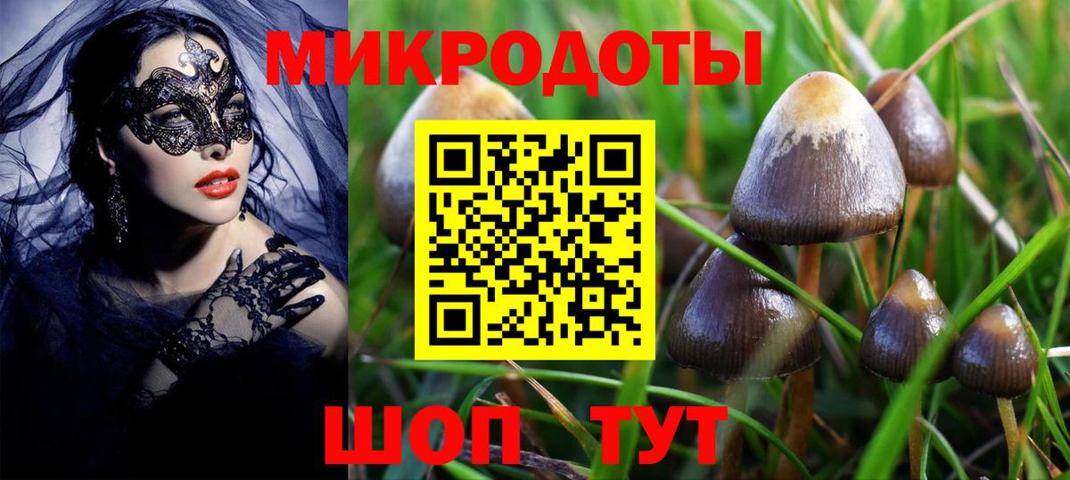 Псилоцибиновые грибы ЛСД Десногорск